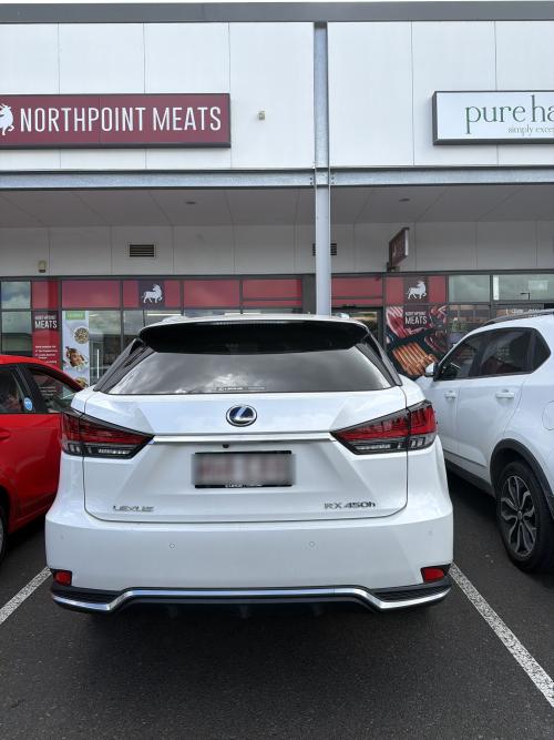 2022 Lexus RX